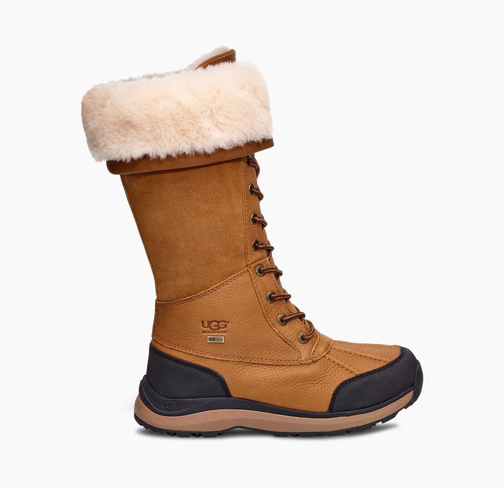 Ugg Adirondack Iii - Womens Tall Boots - Brown - NZ (6109DLNEY)